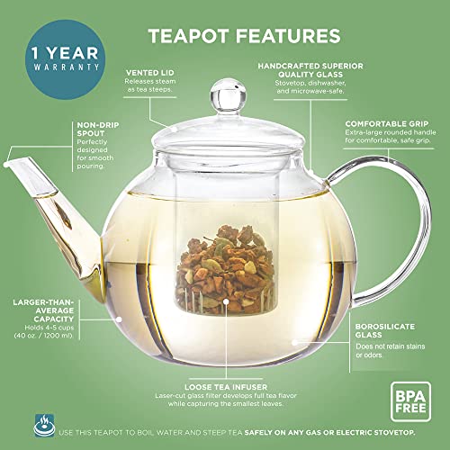 Teabloom Celebration Glass Teapot | 40 OZ | Teapots perfect for loose tea