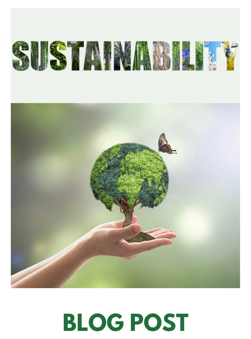 Blog Post - 4 Reasons To Be A Sustainable Shopper - The Eco Joynt