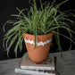 Dax Terracotta Planter The Eco Joynt Pots & Planters