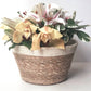 Savar Plant Bowl (Set of 3) | Handcrafted | Fair trade